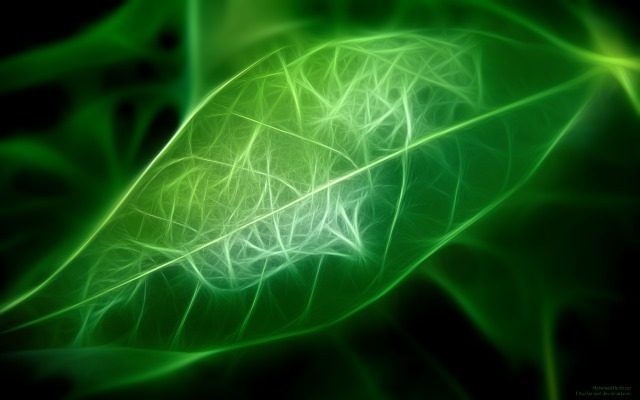Digital Leaf Abstract Keynote Theme