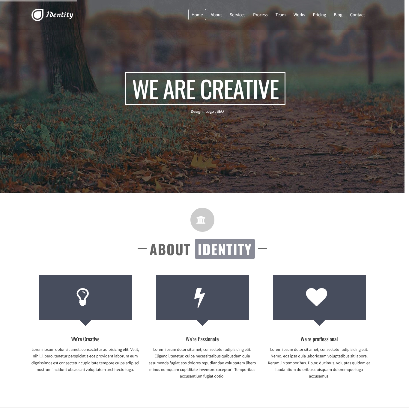 Identity Responsive Multipurpose Joomla Template