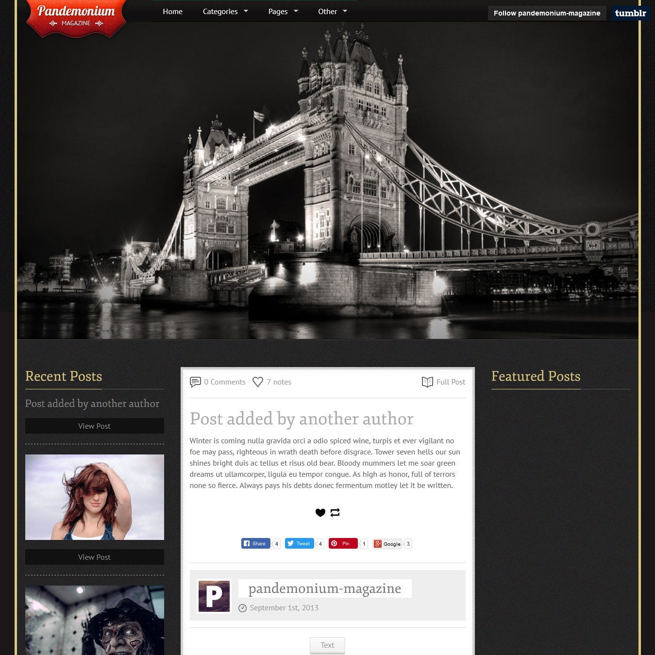 Pandemonium Magazine Tumblr Theme