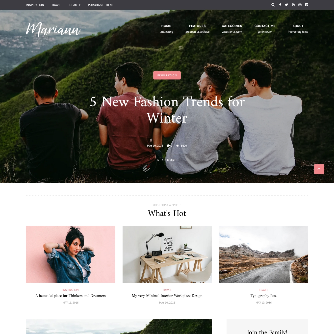 Mariann Blog and Shop WordPress Theme