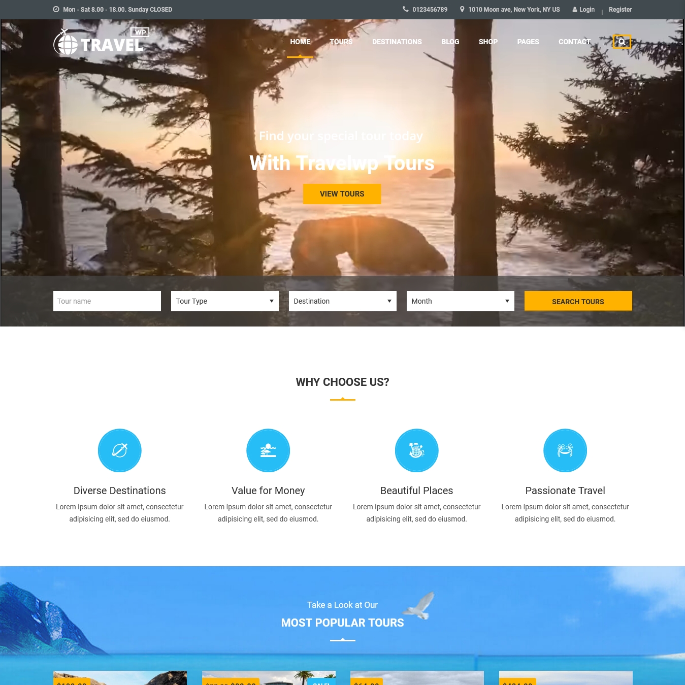 Travel Tour Booking WordPress Theme