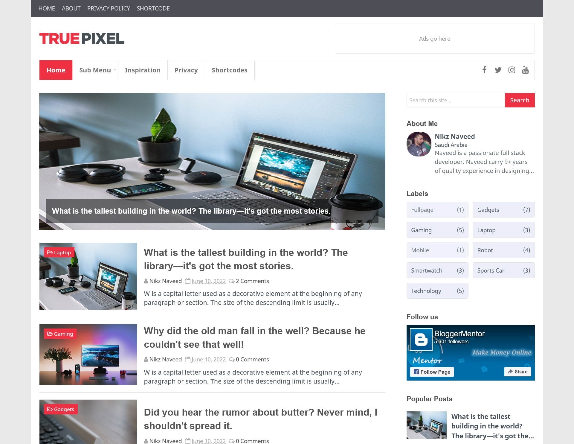 TruePixel Blogger Template