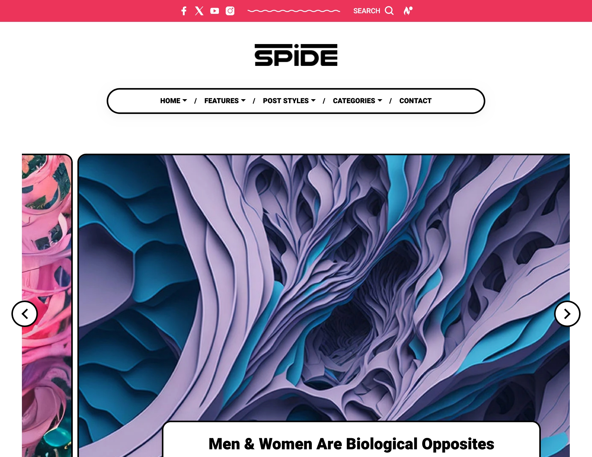 Spide Personal Blog & Magazine WordPress Theme 