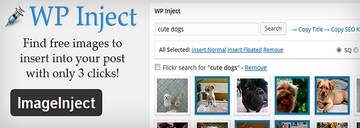 Image Inject
