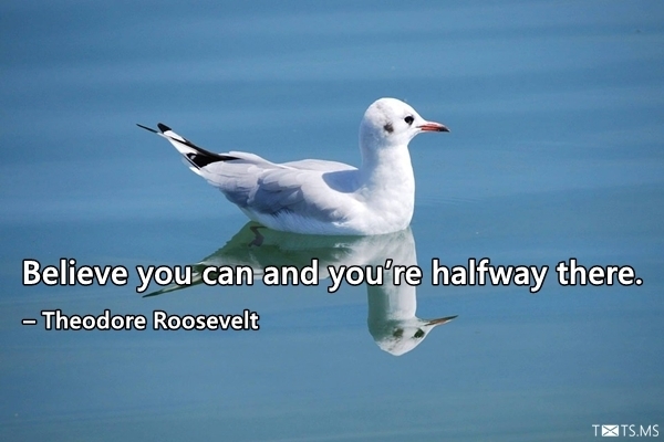 Theodore Roosevelt Quote