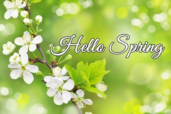 Spring Quotes