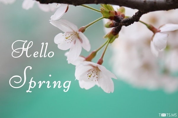 Spring Quotes