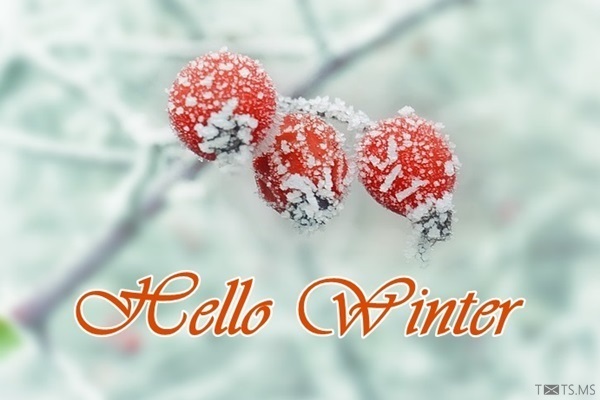 Hello Winter Image