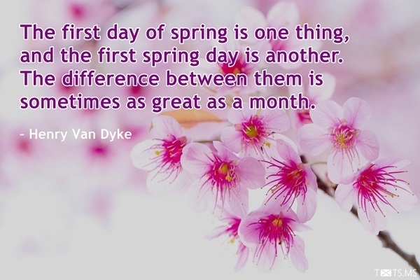 Spring Quotes