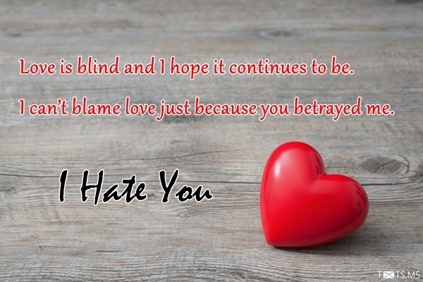 I Hate You Message for Girlfriend
