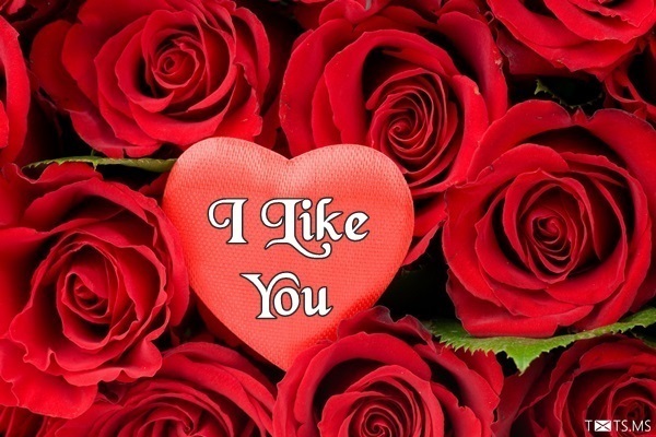 I Like You Image