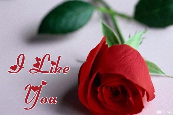 I Like You Image