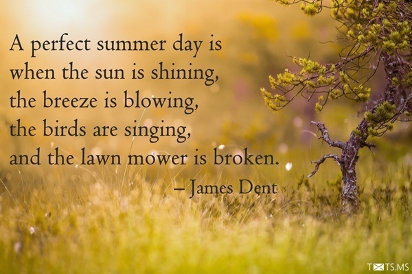 Summer Quotes