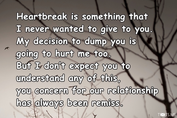 Love Breakup Quotes