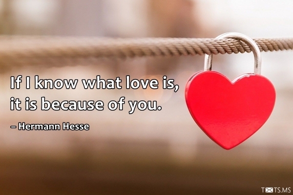 Love Quote by Hermann Hesse