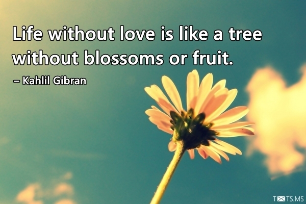 Love Quote by Kahlil Gibran