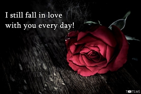 Love Quote with Red Rose