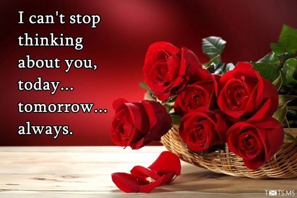 Love Quote with Red Roses