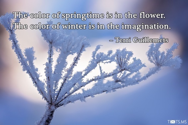 Winter Quotes