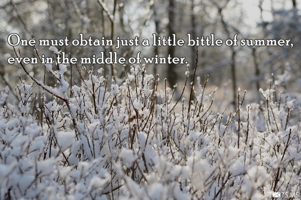 Winter Quotes