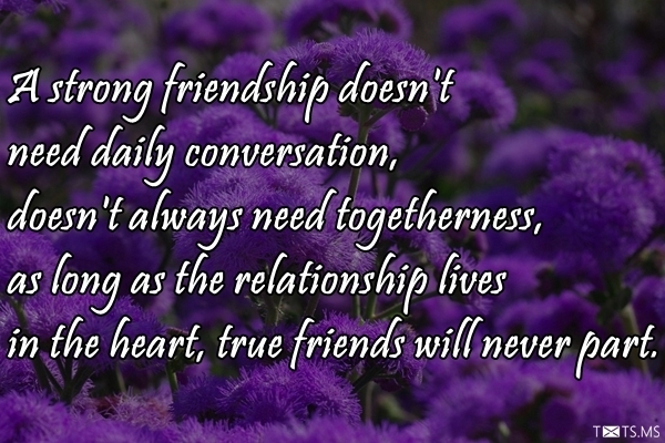 Friendship Quotes