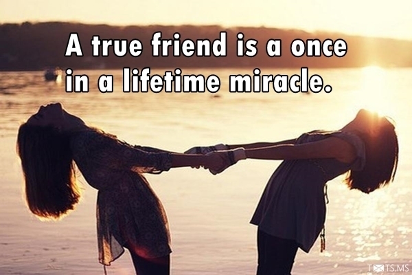 Friendship Quotes