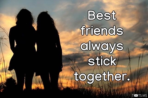 Friendship Quotes