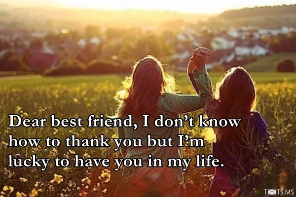 Friendship Quotes