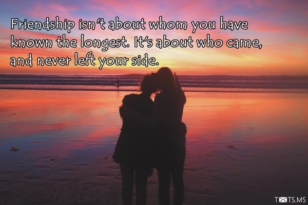 Friendship Quotes