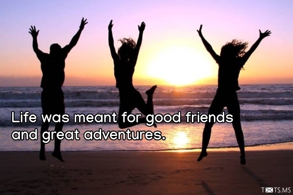 Friendship Quotes