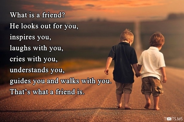 Friendship Quotes