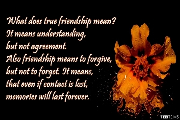 Friendship Quotes