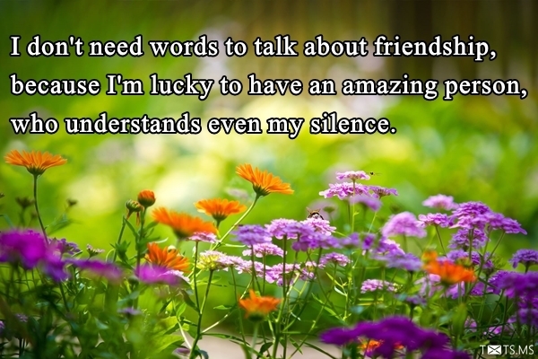 Friendship Quotes