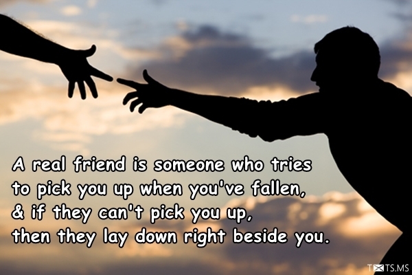 Friendship Quotes