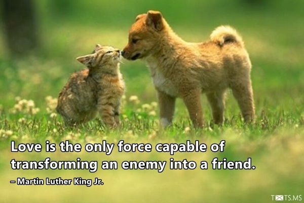 Friendship Quote