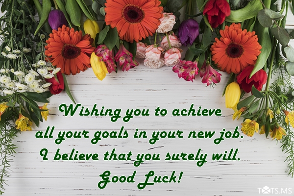 Congratulations Quotes for New Job