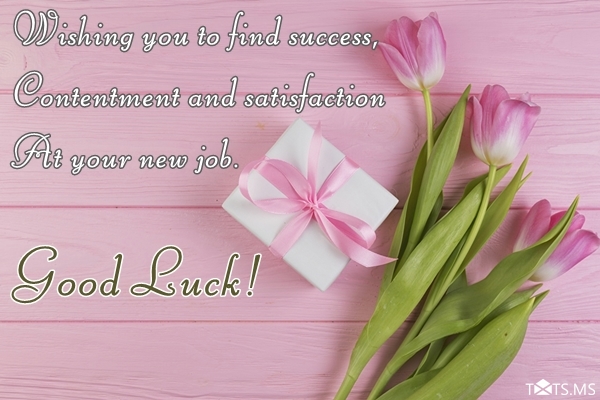 Congratulations Wishes for New Job