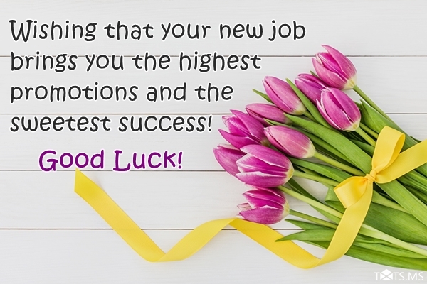 Congratulations Wishes for New Job