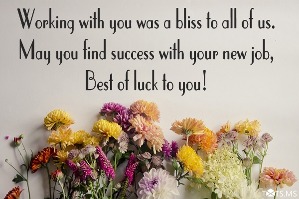 Congratulations Messages for New Job