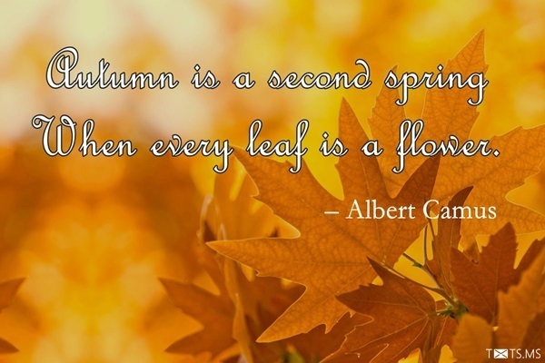 Autumn Quotes