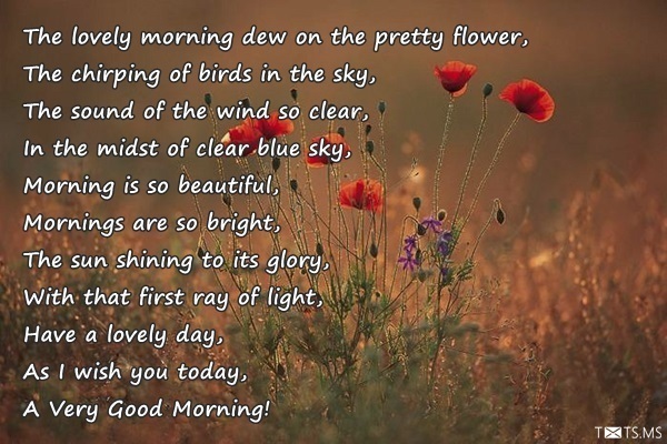 Good Morning Poem