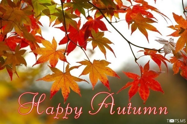 Happy Autumn Image