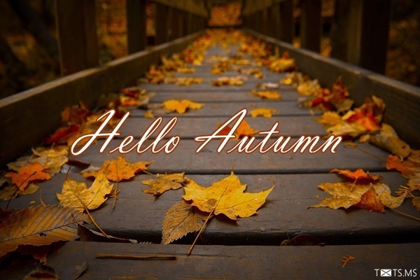 Hello Autumn Image