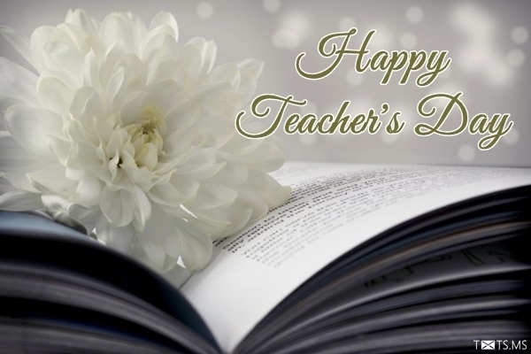 Teachers Day Wishes Images