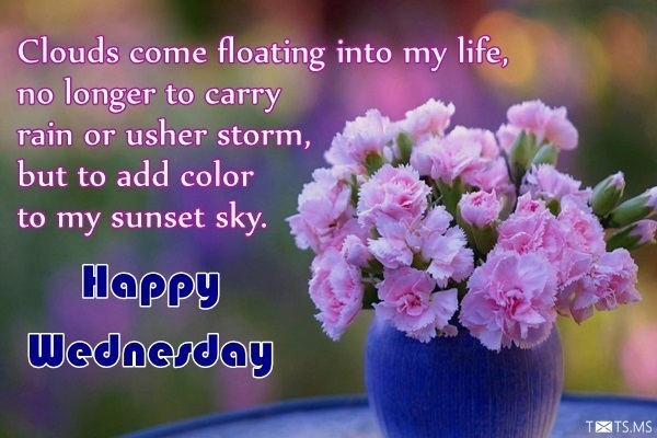 Wednesday Wishes