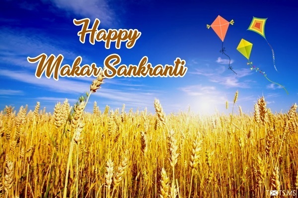 Makar Sankranti Wishes Images