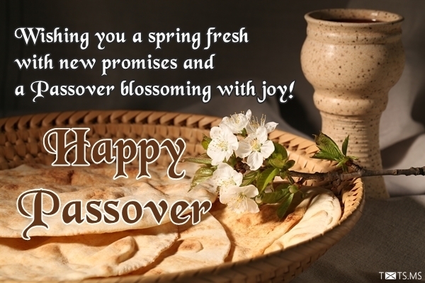 Passover Wishes