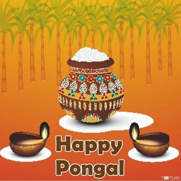 Pongal Wishes Images