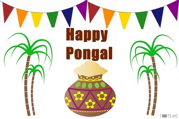 Pongal Wishes Images