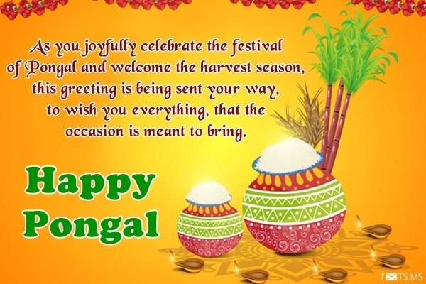 Pongal Wishes